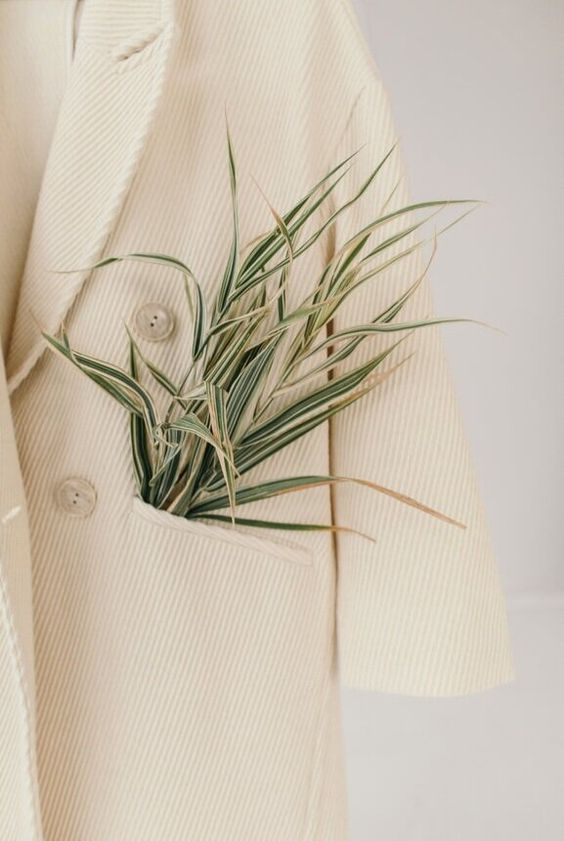 Unveiling Our Eco-Friendly Materials