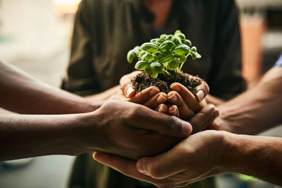 Our Future Sustainability Goals